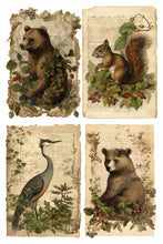 Load image into Gallery viewer, IOD Holly Glenn 8x12 Christmas Holiday Transfer