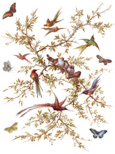 Load image into Gallery viewer, Madeleine IOD 12x16 IOD Transfer