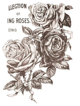 Load image into Gallery viewer, IOD May's Roses 12"x16" Decor Transfer