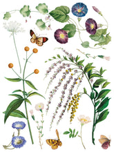 Load image into Gallery viewer, Marche de Fleurs 12x16 IOD Transfer_Iron Orchid Designs