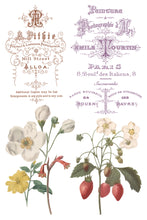 Load image into Gallery viewer, Saint Ouen IOD 8x12 IOD Transfer