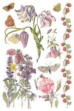 Load image into Gallery viewer, Primrose Isle 8x12 IOD Transfer_Iron Orchid Designs
