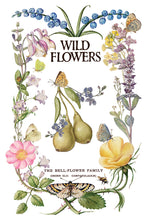 Load image into Gallery viewer, Primrose Isle 8x12 IOD Transfer_Iron Orchid Designs