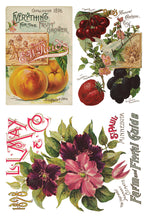 Load image into Gallery viewer, Seed Catalogue 8x12" IOD Decor Transfer