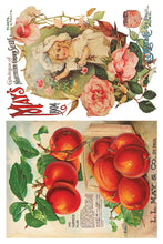 Load image into Gallery viewer, Seed Catalogue 8x12" IOD Decor Transfer