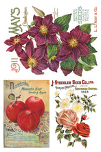 Load image into Gallery viewer, Seed Catalogue 8x12" IOD Decor Transfer
