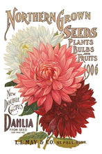 Load image into Gallery viewer, Seed Catalogue 8x12" IOD Decor Transfer