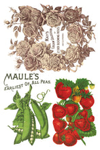 Load image into Gallery viewer, Seed Catalogue 8x12" IOD Decor Transfer