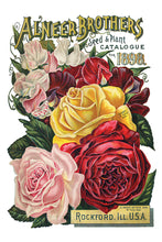Load image into Gallery viewer, Seed Catalogue 8x12" IOD Decor Transfer