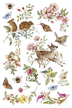 Load image into Gallery viewer, The Bramblewood Diaries | Iron Orchid Designs | Décor Transfer