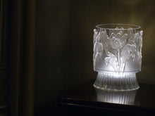 Load image into Gallery viewer, Tulips IOD 6x10" Mould