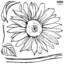 Load image into Gallery viewer, Sunflowers IOD 12x12 Decor Stamp Iron Orchid Designs