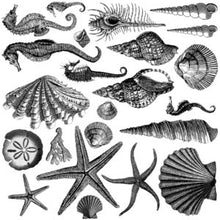 Load image into Gallery viewer, Seashore IOD 12x12 Decor Stamp Iron Orchid Designs