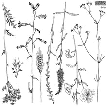 Load image into Gallery viewer, Sprigs IOD 12x12 Decor Stamp Iron Orchid Designs