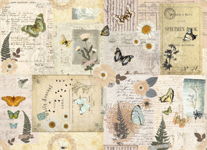 Roycycled Treasures Pressed Flower Masterboard Decoupage Paper #178