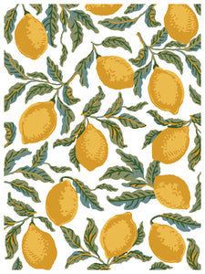 IOD Portofino 12x16 Paint Inlay Set Iron Orchid Designs