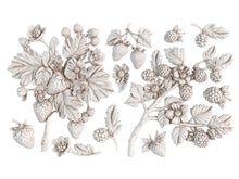 Load image into Gallery viewer, IOD Wild Berries Mould Iron Orchid Designs
