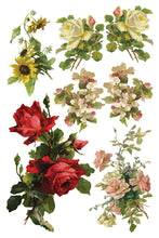 Load image into Gallery viewer, IOD Catharina 8x12 Transfer Set Iron Orchid Designs
