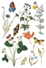 Load image into Gallery viewer, IOD Wilde Bloemen 8x12 Transfer Set Iron Orchid Designs
