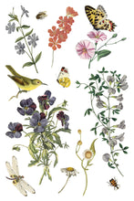Load image into Gallery viewer, IOD Wilde Bloemen 8x12 Transfer Set Iron Orchid Designs

