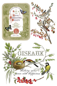 IOD Winter Botanist 8x12 Decor Transfer Iron Orchid Designs