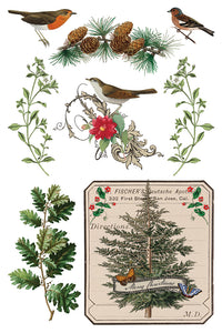 IOD Winter Botanist 8x12 Decor Transfer Iron Orchid Designs