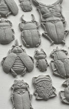 Load image into Gallery viewer, Iron Orchid Designs/IOD Specimens Decor Mould
