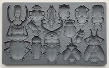 Load image into Gallery viewer, Iron Orchid Designs/IOD Specimens Decor Mould
