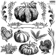 Load image into Gallery viewer, IOD Autumn Blessings 12x12 Decor Stamp Iron Orchid Designs

