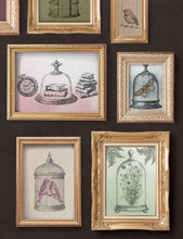 Load image into Gallery viewer, Iron Orchid Designs/IOD Pastiche Decor Stamp

