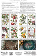 Load image into Gallery viewer, IOD Clementine 8x12 Decor Transfer Iron Orchid Designs
