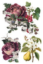 Load image into Gallery viewer, IOD Clementine 8x12 Decor Transfer Iron Orchid Designs
