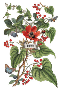 IOD Clementine 8x12 Decor Transfer Iron Orchid Designs