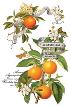 Load image into Gallery viewer, IOD Clementine 8x12 Decor Transfer Iron Orchid Designs
