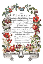 Load image into Gallery viewer, IOD Clementine 8x12 Decor Transfer Iron Orchid Designs
