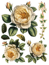 Load image into Gallery viewer, Iron Orchid Designs/IOD Collage de Fleurs Decor Transfer
