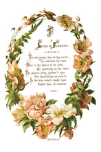 Load image into Gallery viewer, Iron Orchid Designs/IOD Lover of Flowers Decor Transfer
