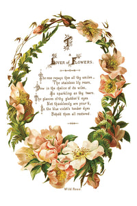 Iron Orchid Designs/IOD Lover of Flowers Decor Transfer