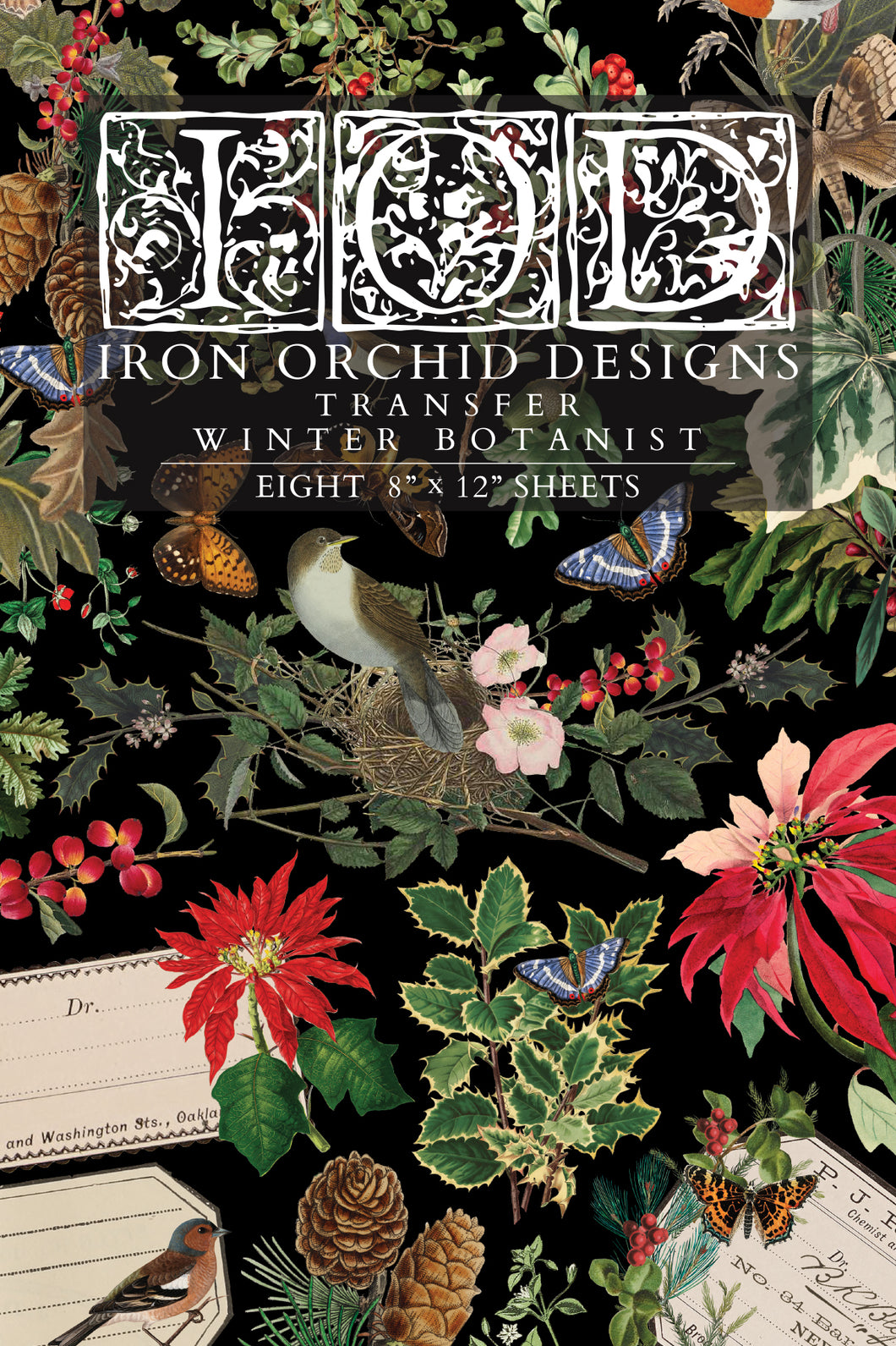 IOD Winter Botanist 8x12 Decor Transfer Iron Orchid Designs