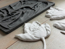 Load image into Gallery viewer, Tulips IOD 6x10" Mould
