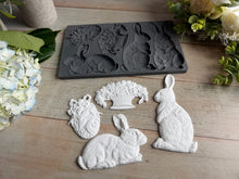 Load image into Gallery viewer, Les Lapins IOD 6x10" Mould
