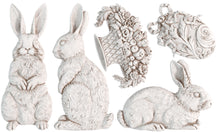 Load image into Gallery viewer, Les Lapins IOD 6x10" Mould
