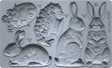 Load image into Gallery viewer, Les Lapins IOD 6x10" Mould

