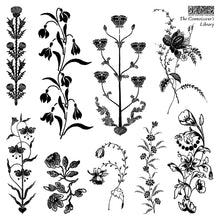 Load image into Gallery viewer, The Connoisseur's Library I.O.D. 6x6 Decor Stamp Set_Iron Orchid Designs
