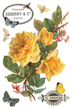 Load image into Gallery viewer, By Any Other Name IOD 8x12 Transfer
