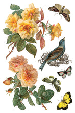 Load image into Gallery viewer, By Any Other Name IOD 8x12 Transfer
