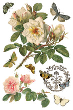 Load image into Gallery viewer, By Any Other Name IOD 8x12 Transfer

