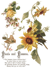 Load image into Gallery viewer, Flowers by the Poets 12x16 IOD Transfer_Iron Orchid Designs
