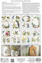 Load image into Gallery viewer, Flora Greca IOD 8x12 Transfer

