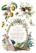 Load image into Gallery viewer, Flora Greca IOD 8x12 Transfer
